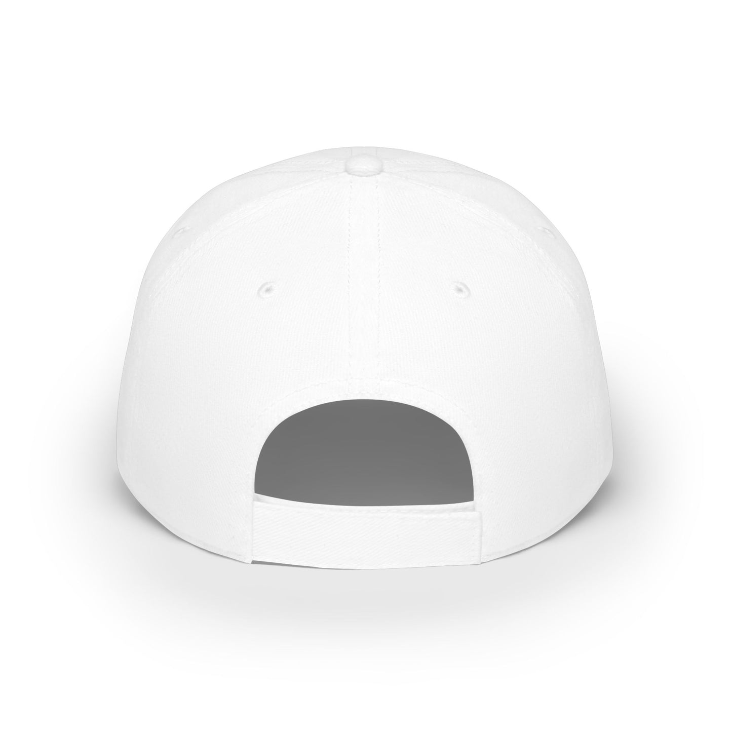Land of the Free. American Flag Skull Patch Cap - Low Profile Baseball Hat
