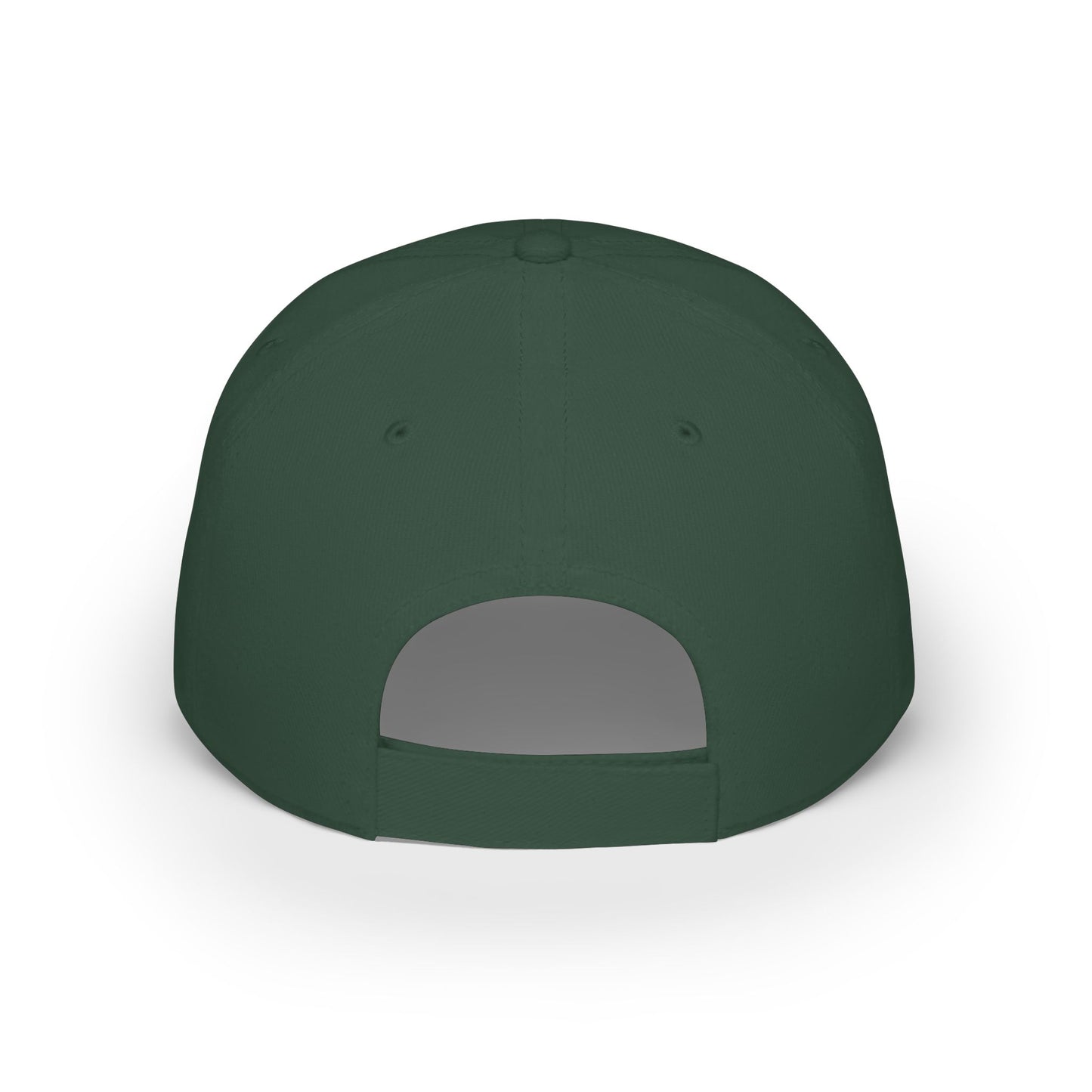 Land of the Free. American Flag Skull Patch Cap - Low Profile Baseball Hat